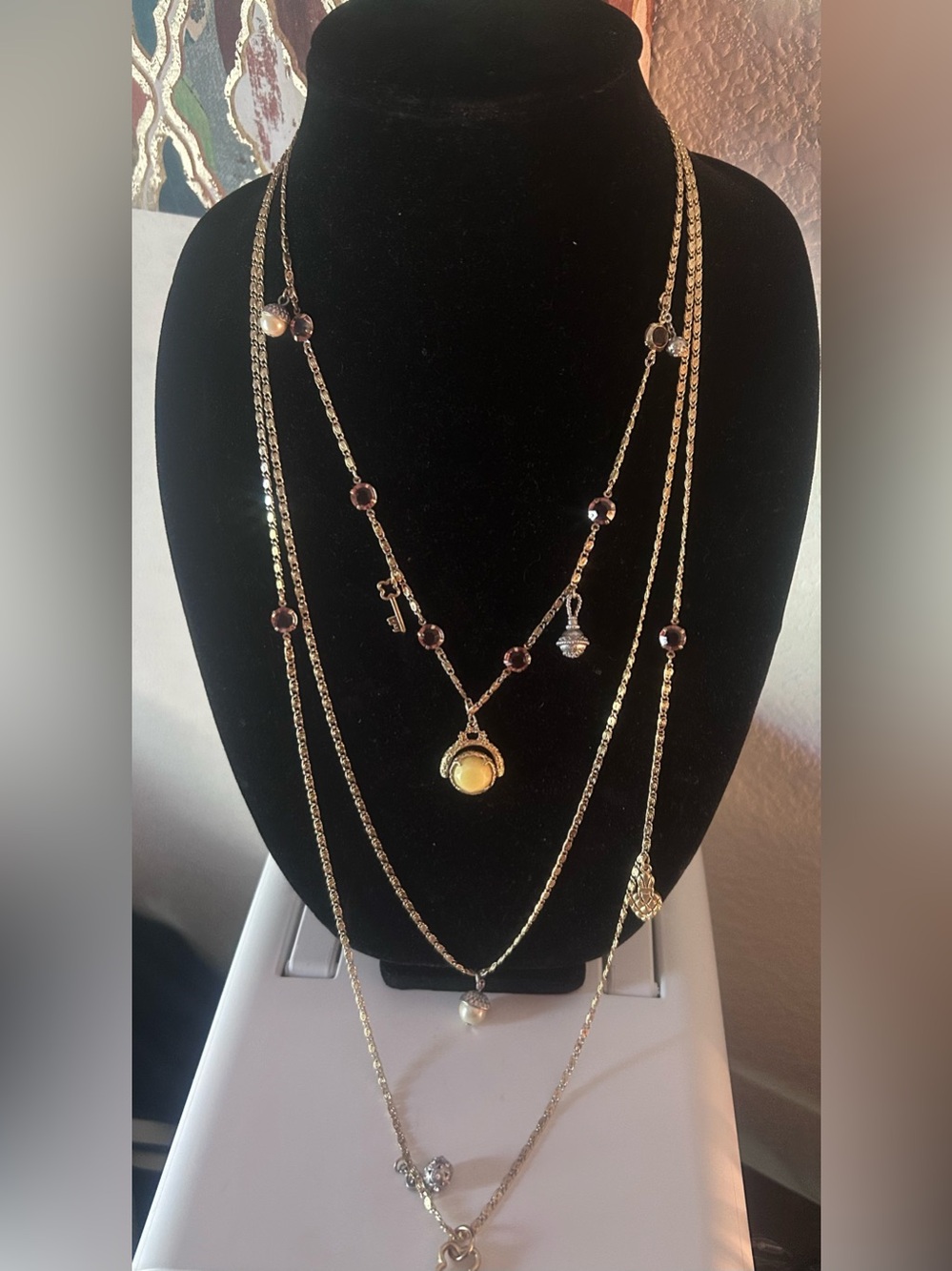Cabi Curio Necklace!